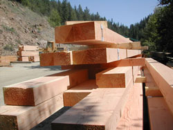 Cut Douglas Fir Timbers